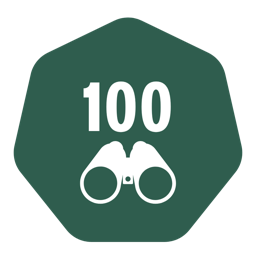 100 views badge