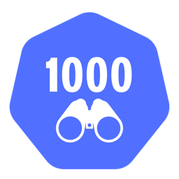 1000 views badge